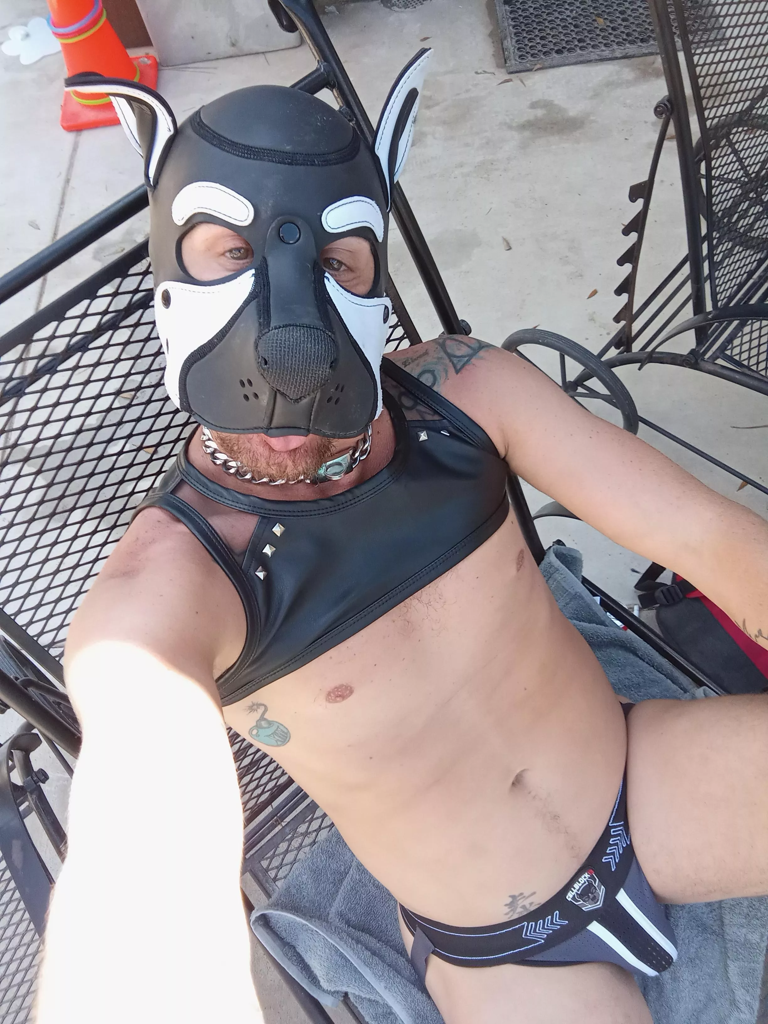 Borkkk... who wants to romp?!?