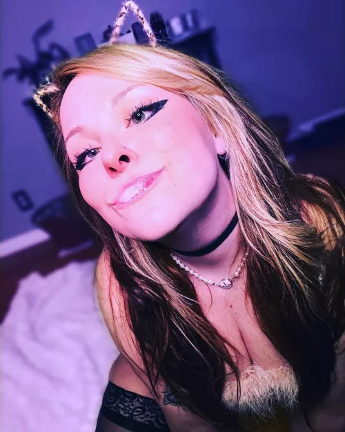 Cockslap kitty right meow 😻