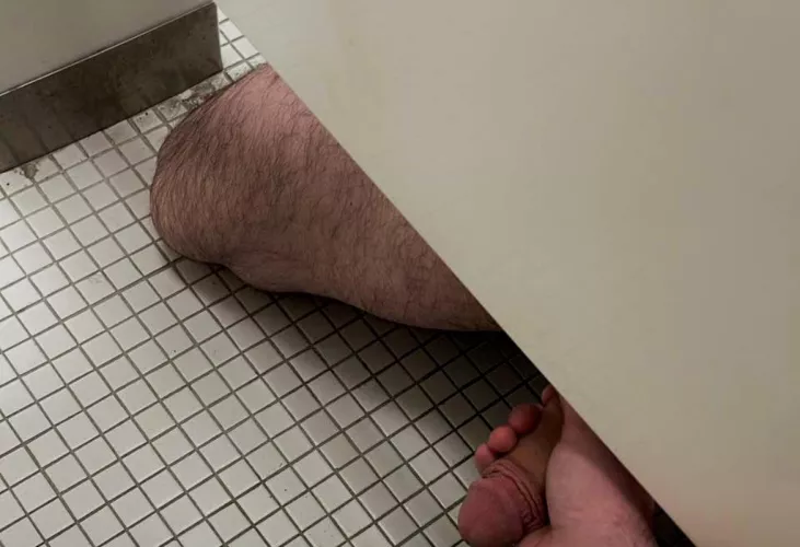 cruising at cpp (Pomona ca )