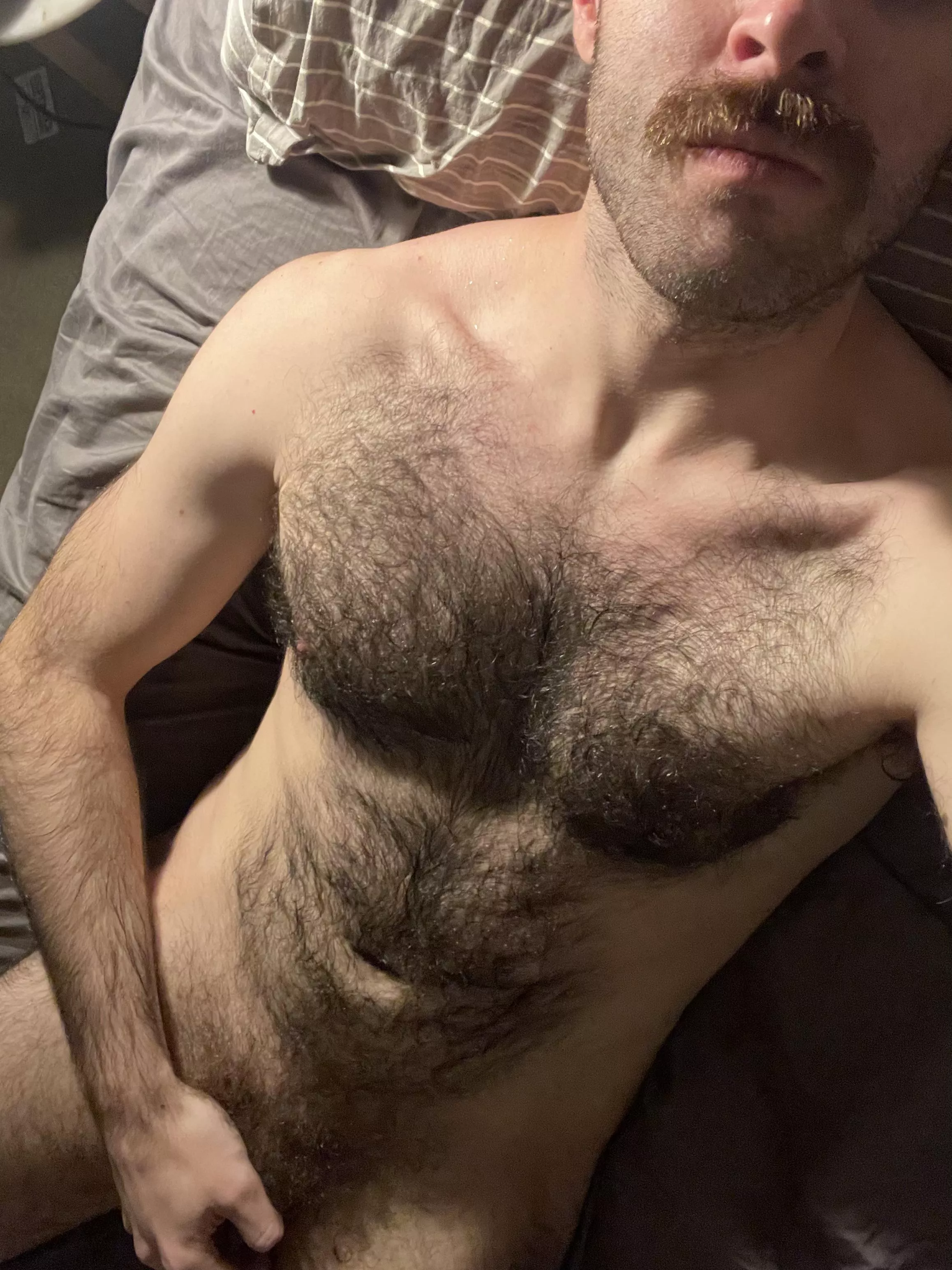 Heading to the US for a month for work, hopefully American girls like hairy Aussie’s (and dumb accents)