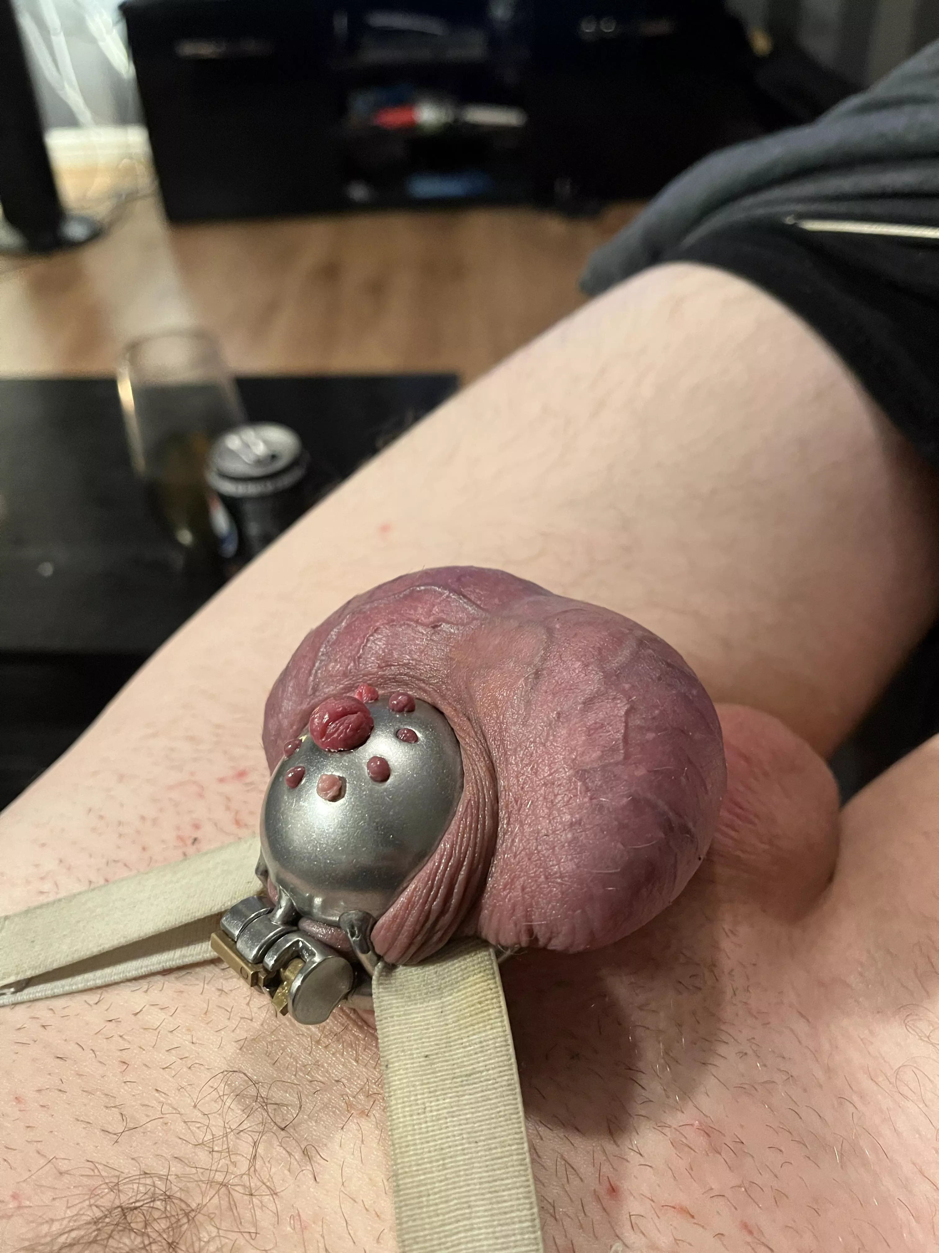 How well my cage holds my hard 8 inch cock. It soon gives up