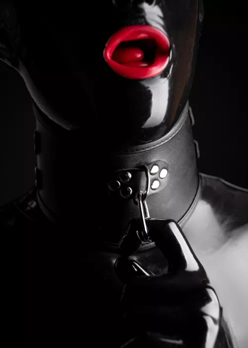 The classic, collared and gagged, never gets old...