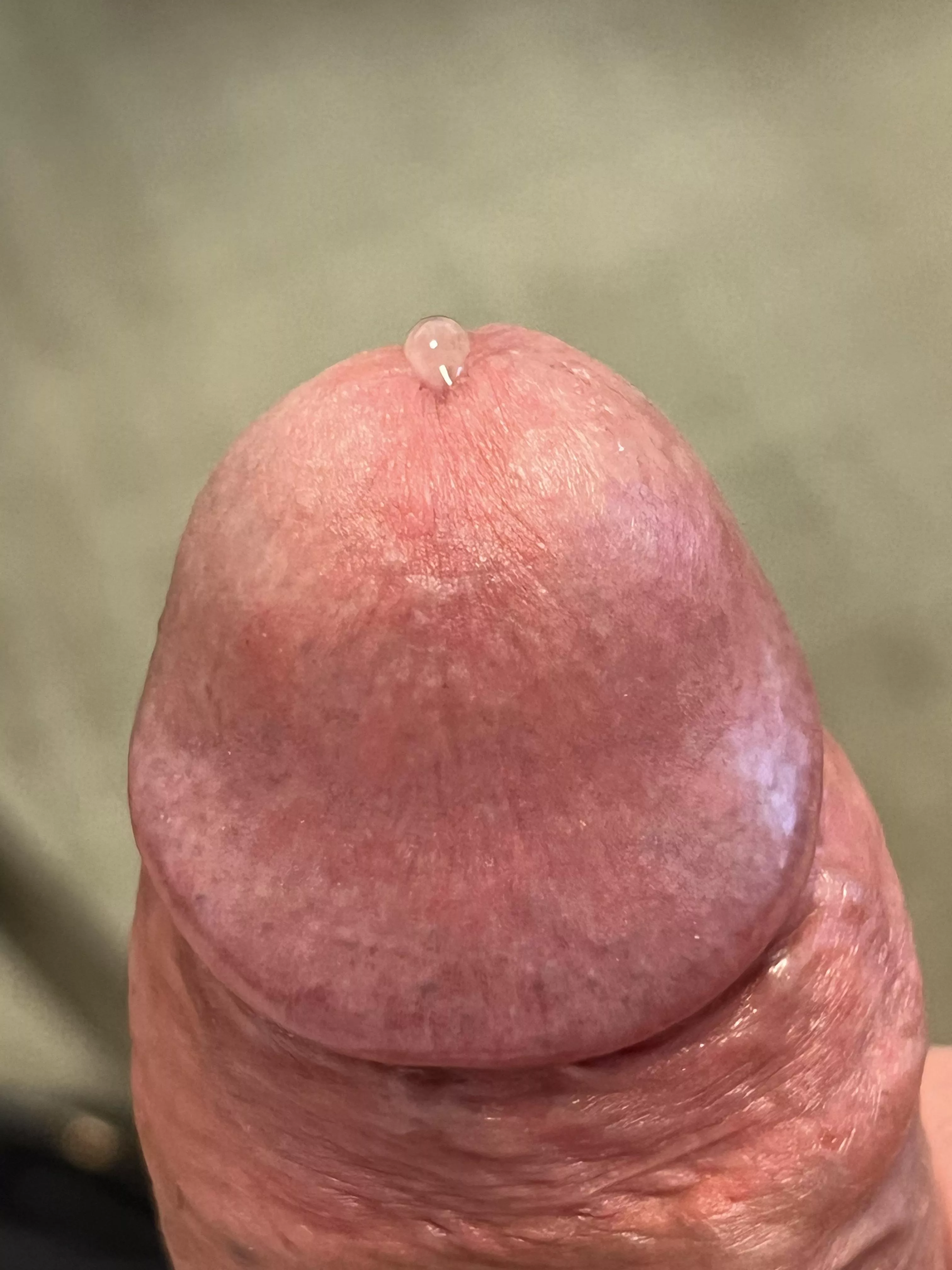 The juice is a bit cloudy today. That load wants out!