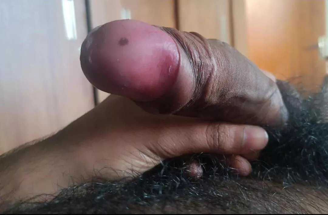 Where do you want me to put this BBC Dm's are open