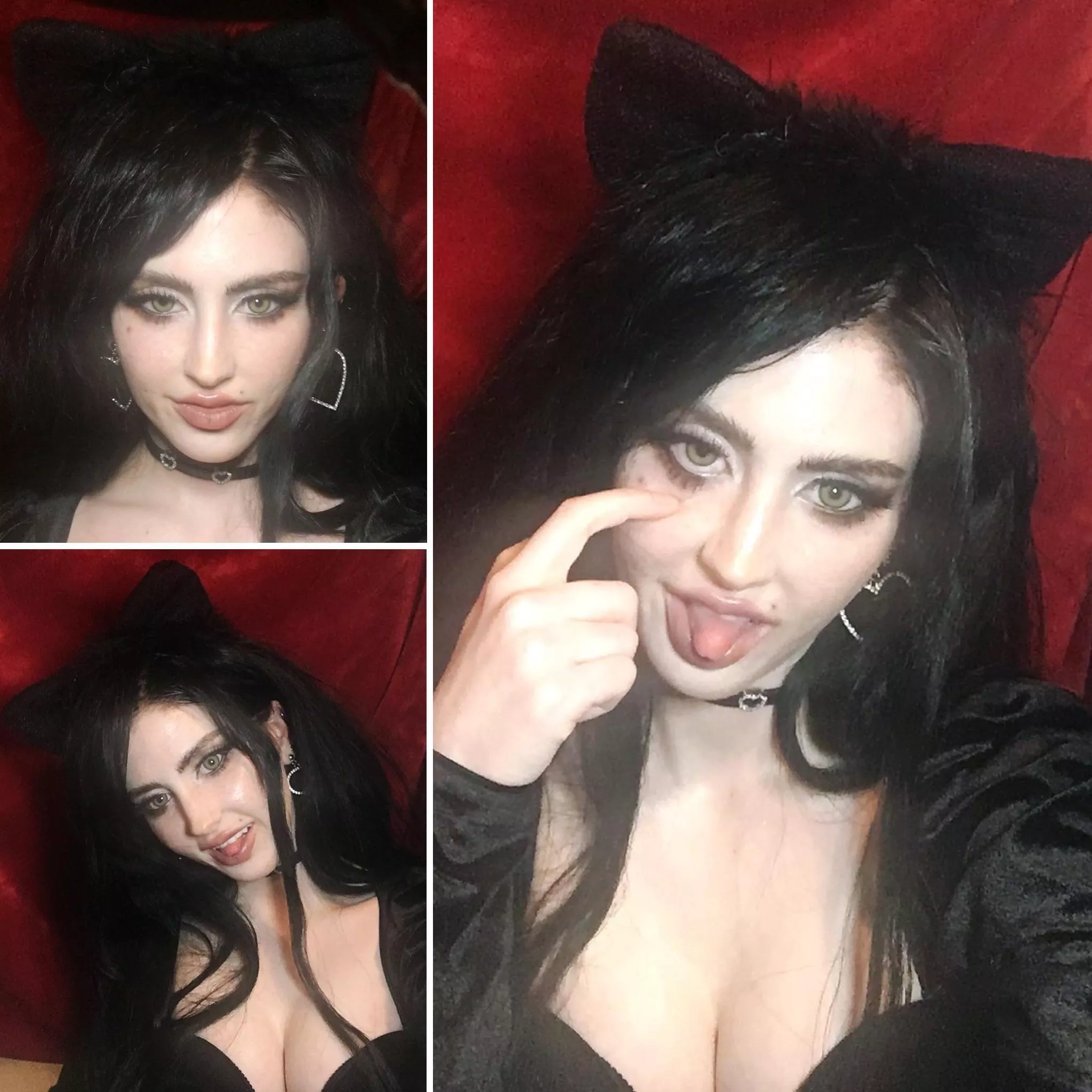 Cat ears: ✔️ Tsundere mode: ON 🐈‍⬛