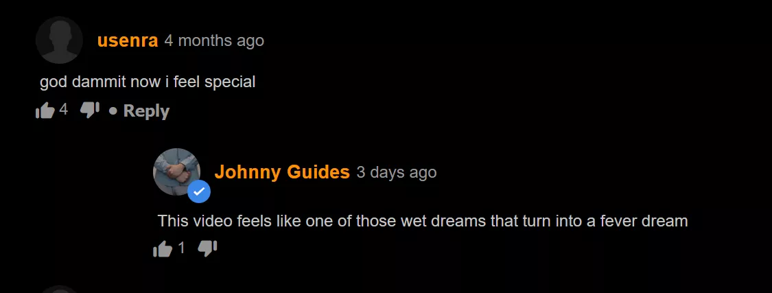 context: the video was about some camera-dildo footage