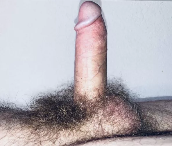 I’m horny and stoned