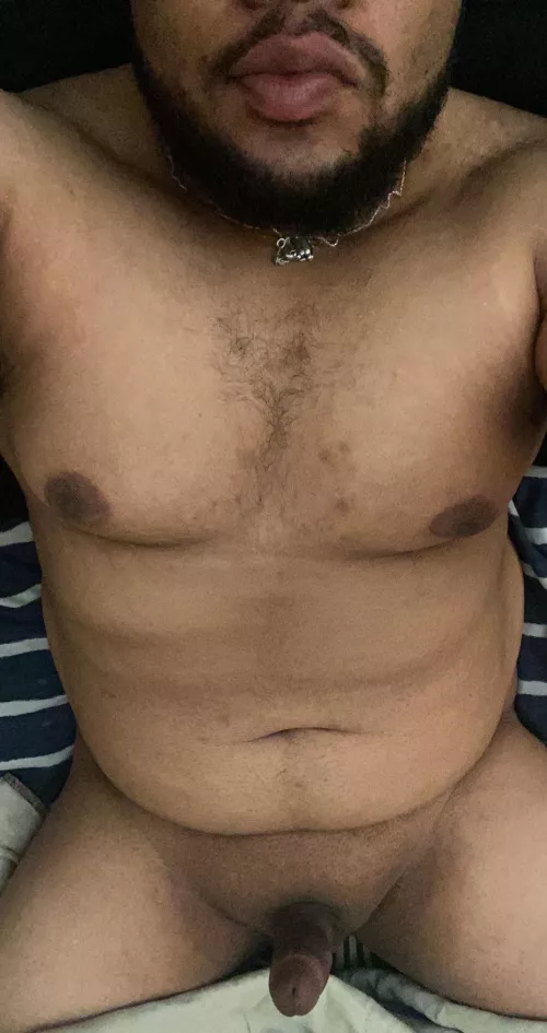 morning wood is out of control today