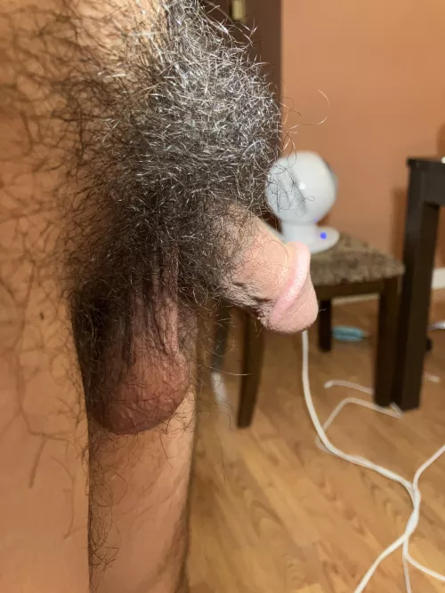 One year of no waxing!