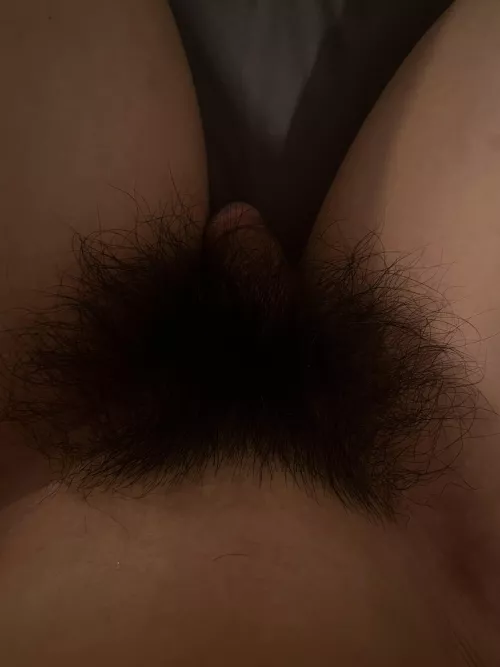 Bush is getting very thick!