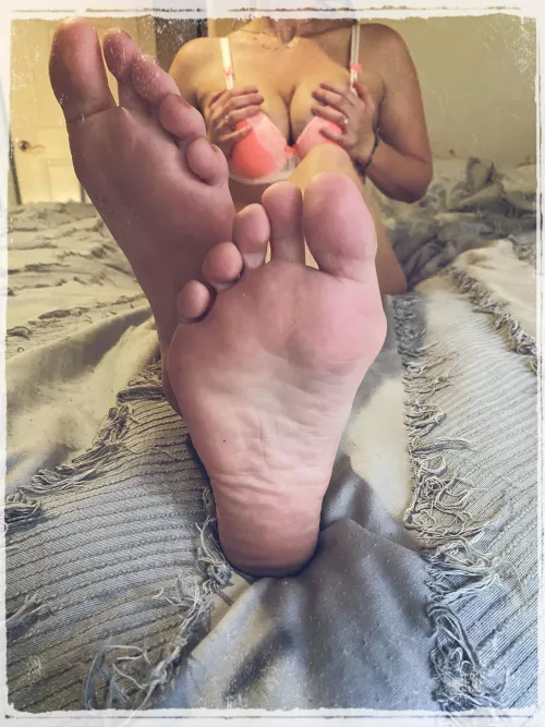 Have your way with them…