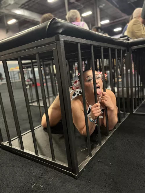 Moooooo… what would you brand on me?