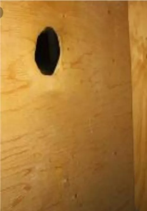 Near Camp Atterbury in Indiana - Any horny soldiers need attention?