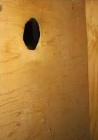 Near Camp Atterbury in Indiana - Any horny soldiers need attention?