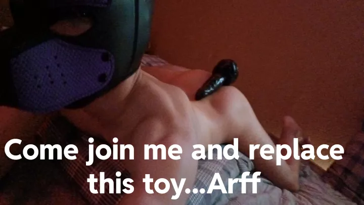 Wanna be someone's pup.