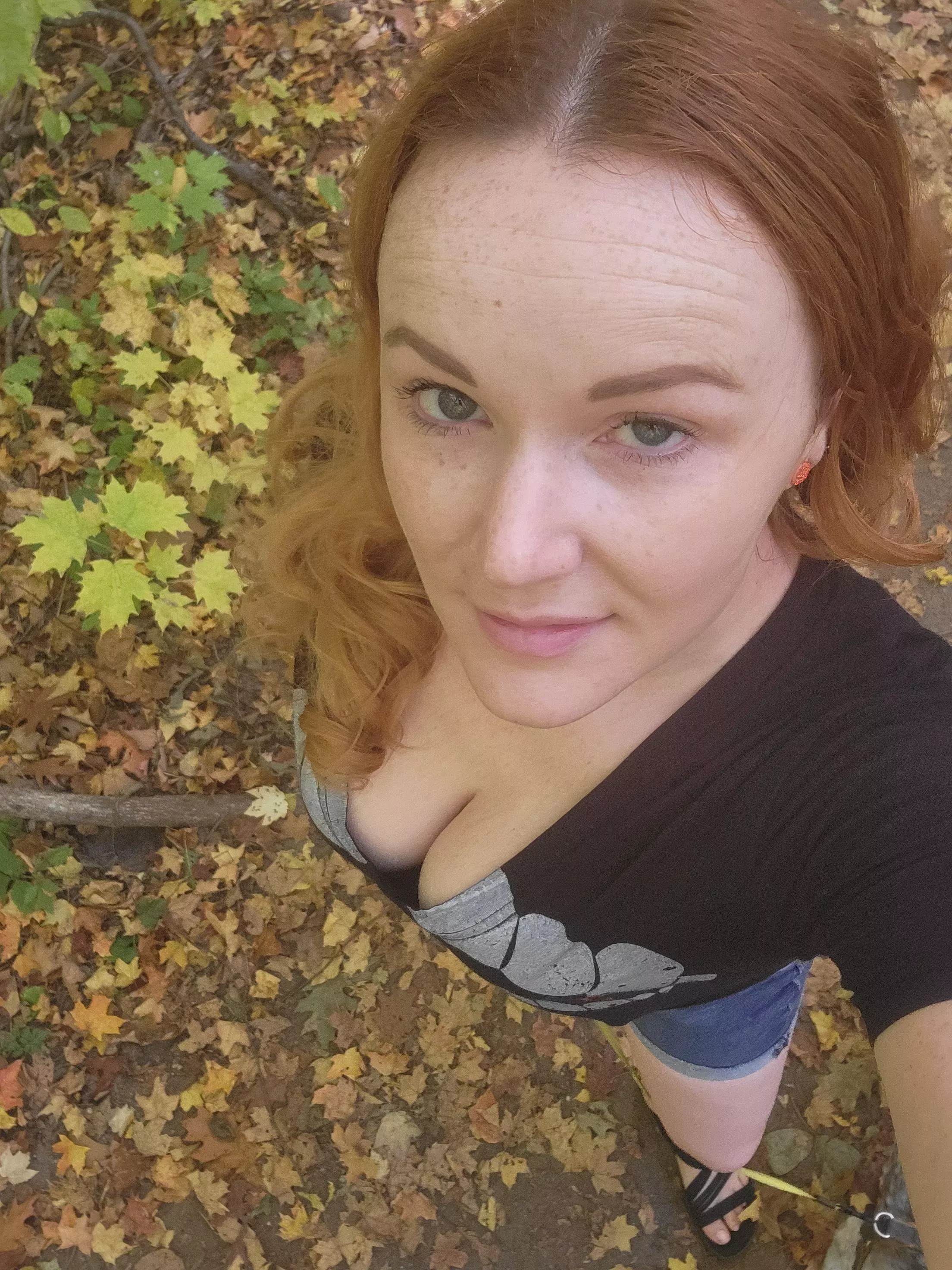 what beautiful leaves 🍂