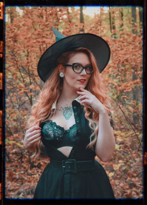 🐈‍⬛🐈‍⬛🐈‍⬛