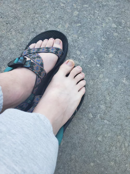 Been putting a lot of miles on the lambo-feeties recently