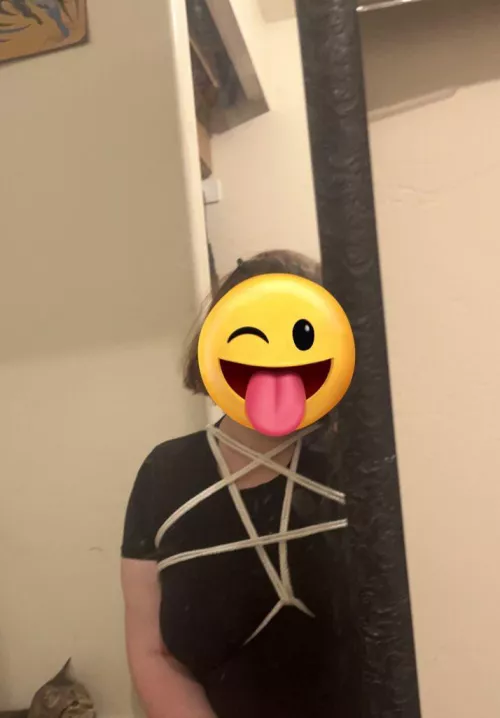 First harness 🖤🖤