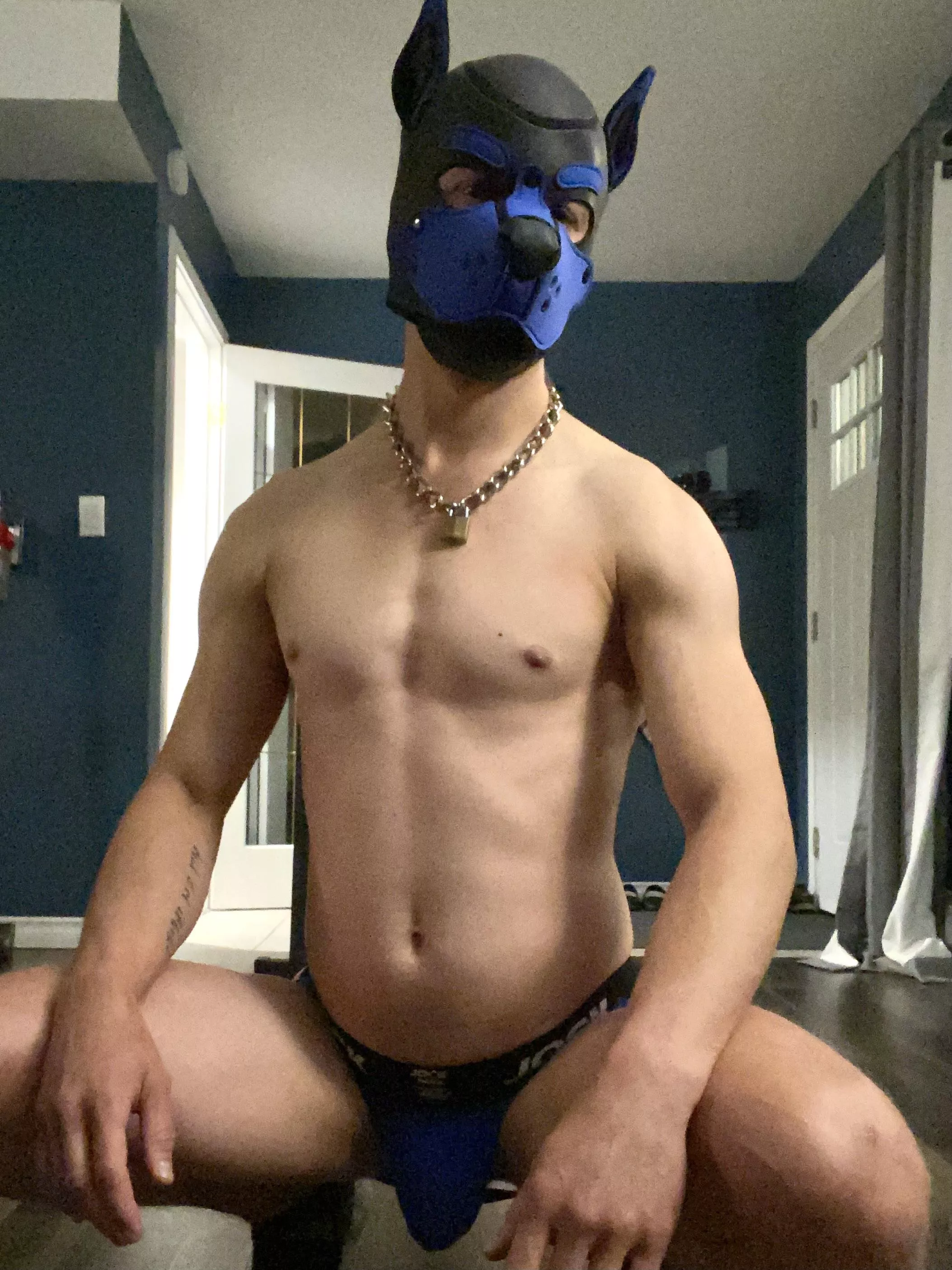 Hey pups, happy Sunday! 🐾🐾