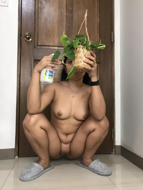 I am taking real good care of my little plants…