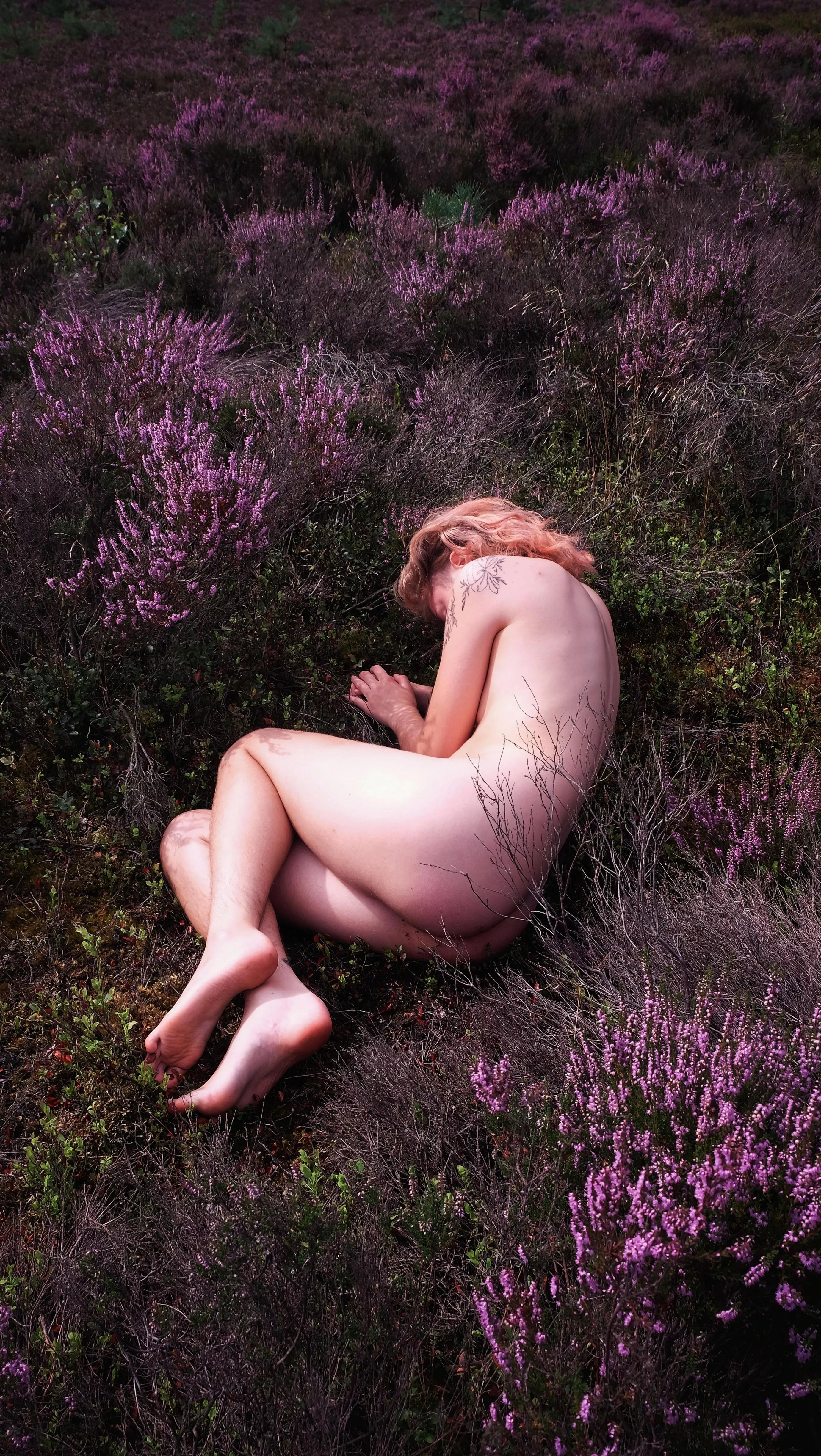 I need someone to lay down in the gras with me 🦐