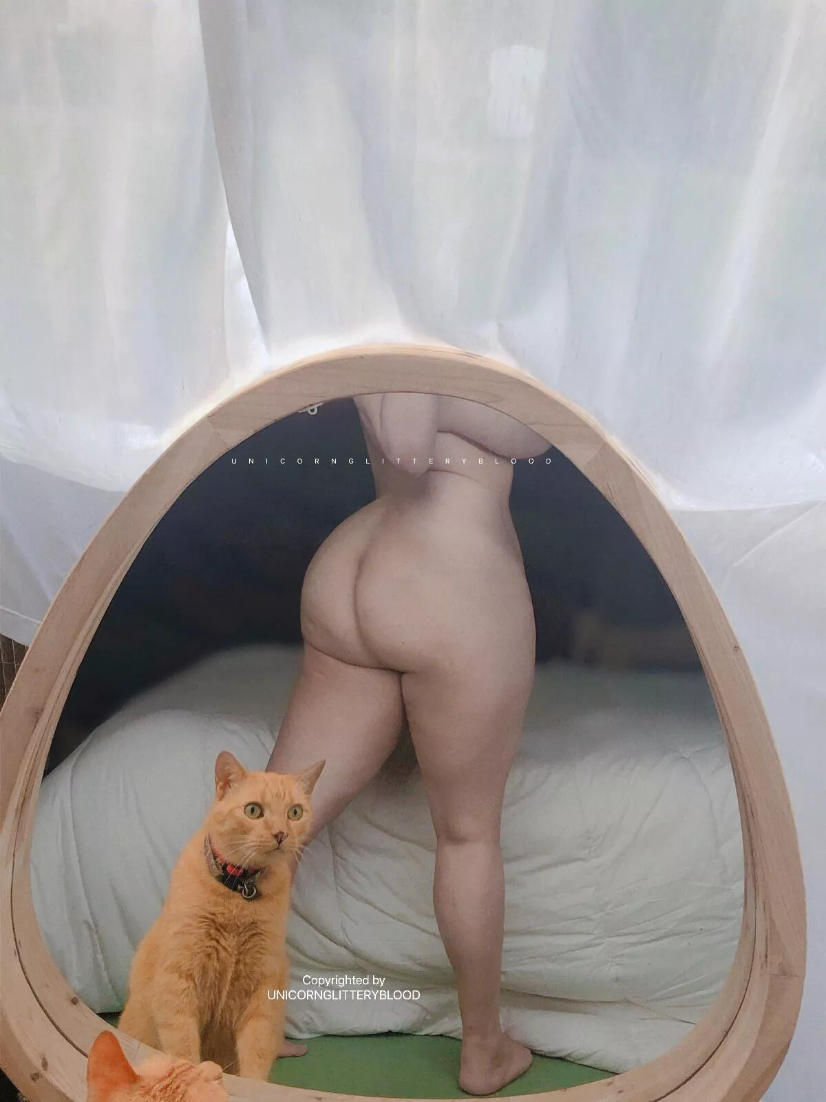 [OC] the cat photobombed me 😂