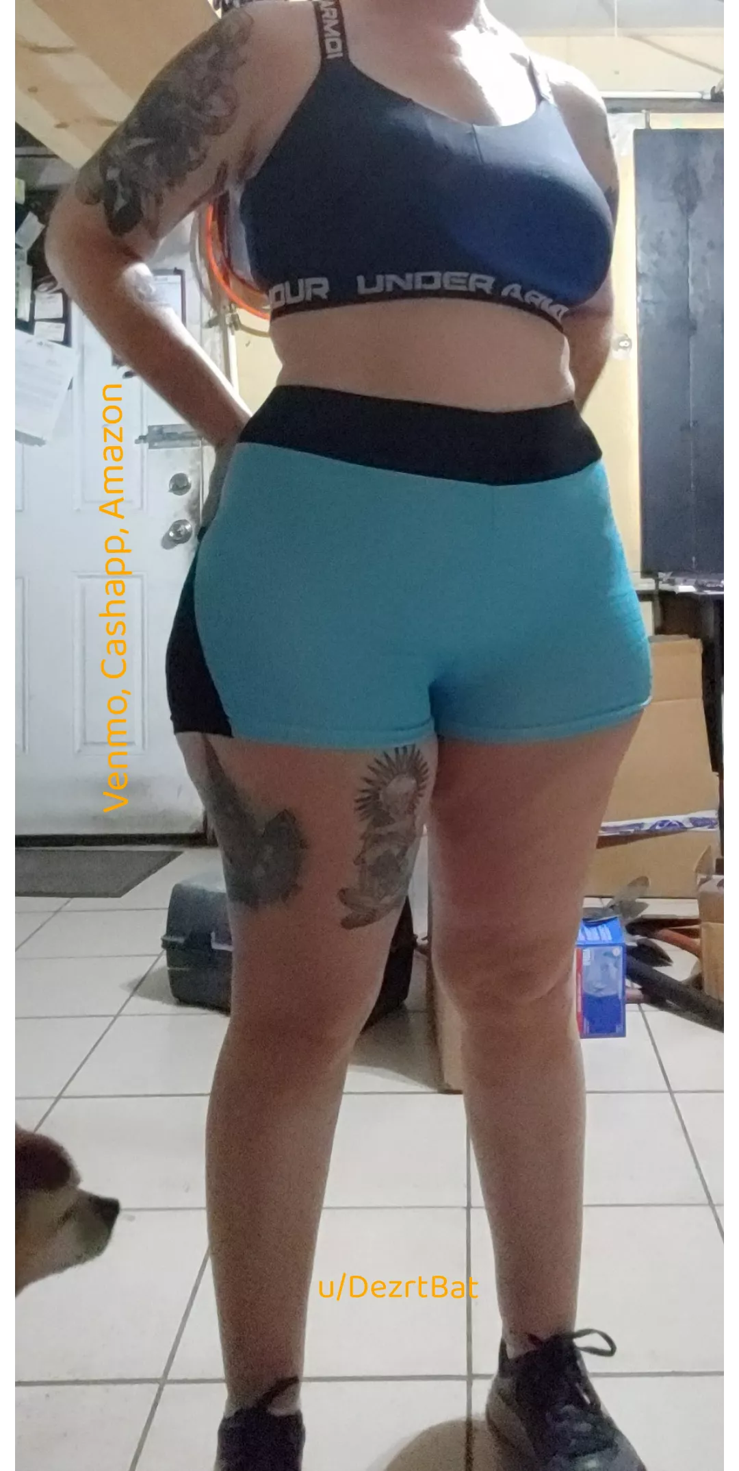 [selling] I'm more than just panties! :P Workout/booty shorts, lingerie, bras, body products, other items, and digital content also available. What floats your boat? ;)