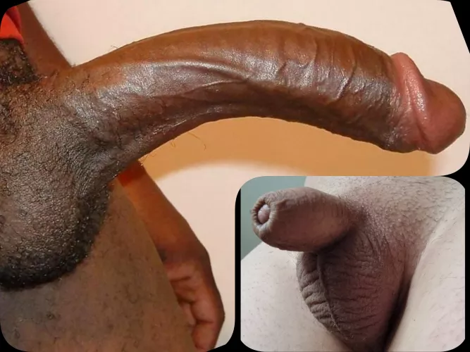 which would you choose ?