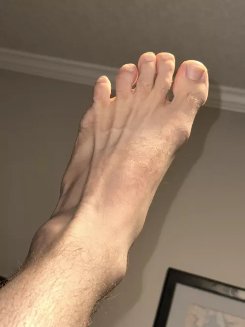 Can someone add protein to these hairy 14s?!?