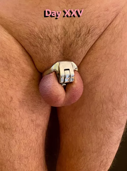 Day 25, the new normal