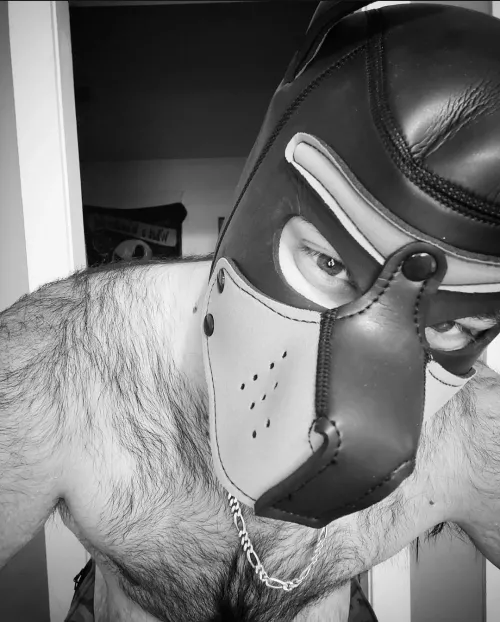 Denali needs boops 🐾