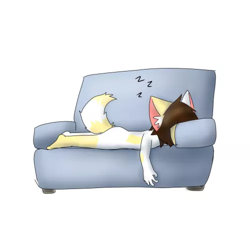 fell asleep on the couch