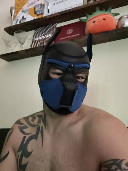 Good morning picture from the pup. He is the best boy.