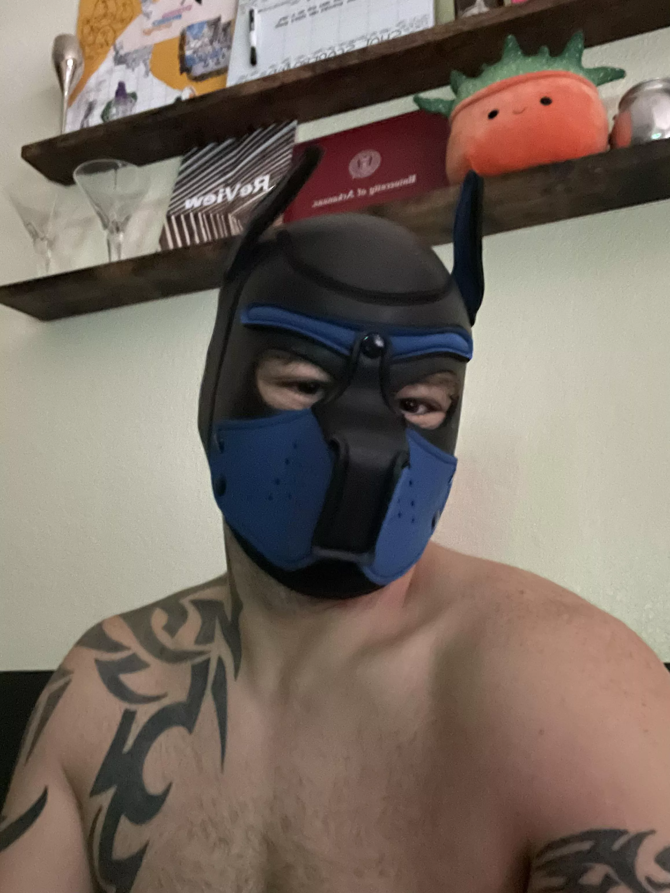 Good morning picture from the pup. He is the best boy.