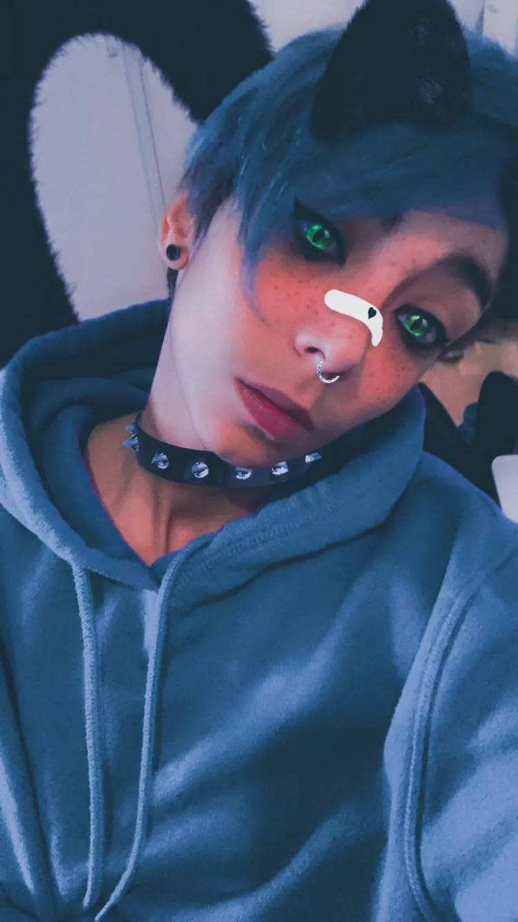 Heyyy rough day, how’s everyone doing? [He/They] <3