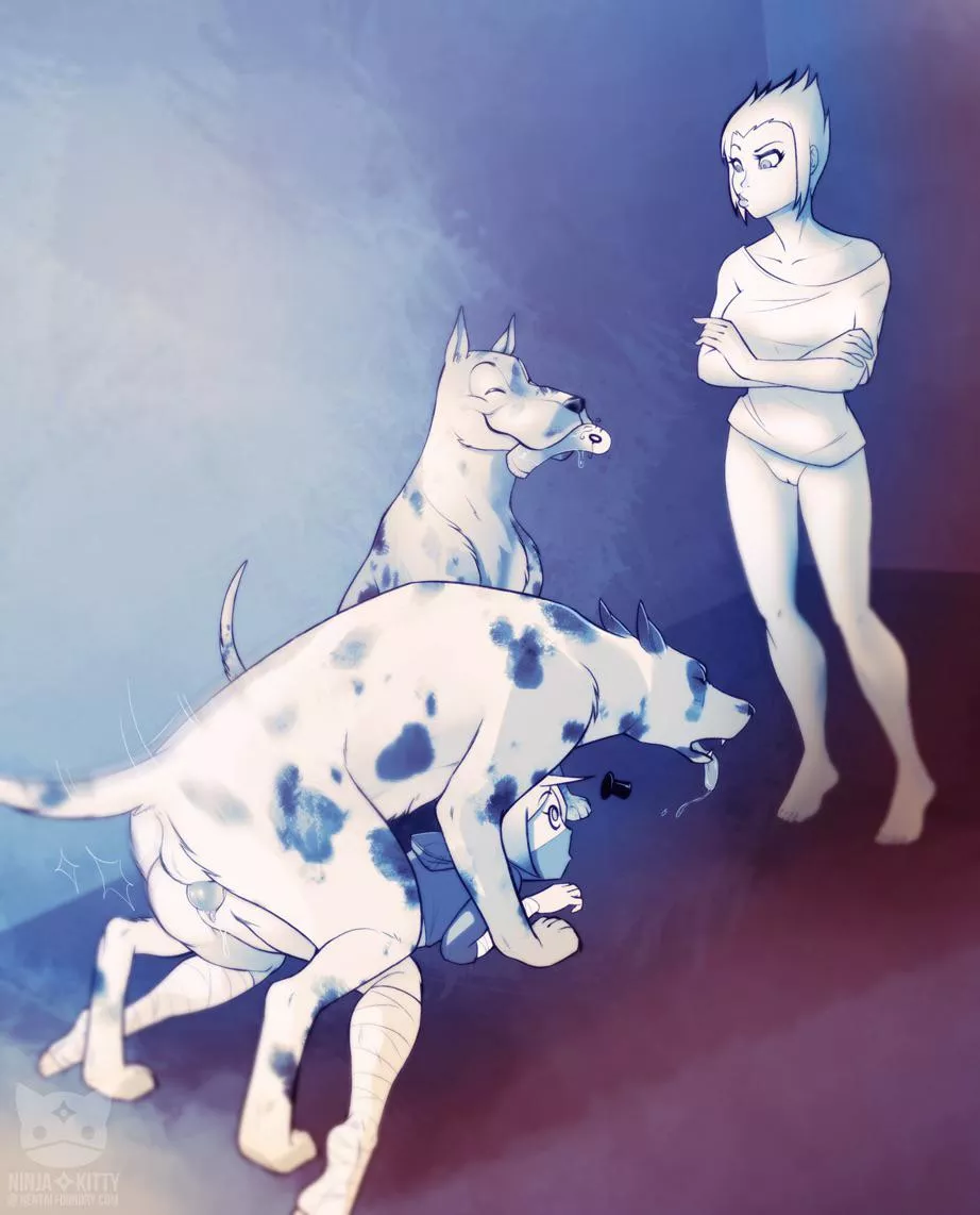 I have a feeling she’s gonna be there for awhile (ninja kitty)