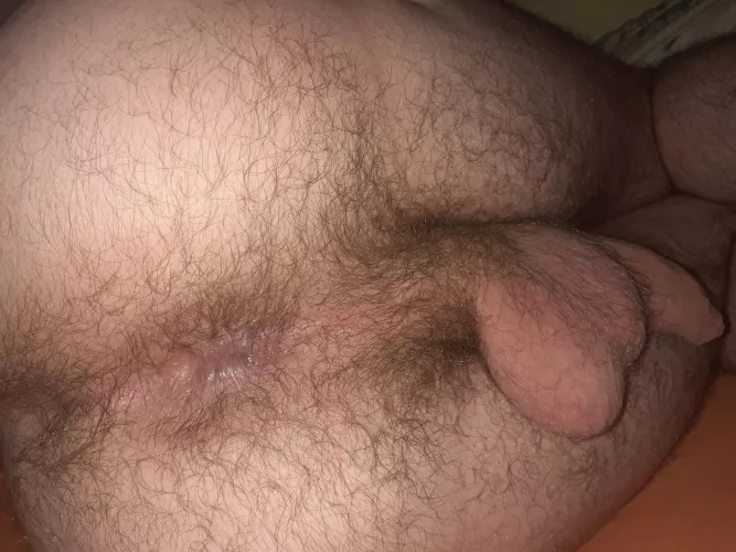 Isn't it obvious that I wanna be fucked?