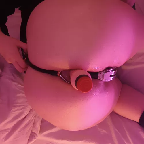 Love my anal only 'panties'