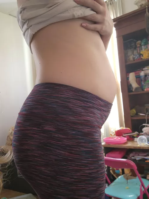 Rub my belly? maybe bend me over the stove? 22 weeks with twins