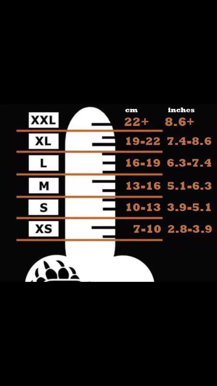 where do you belong? #proof