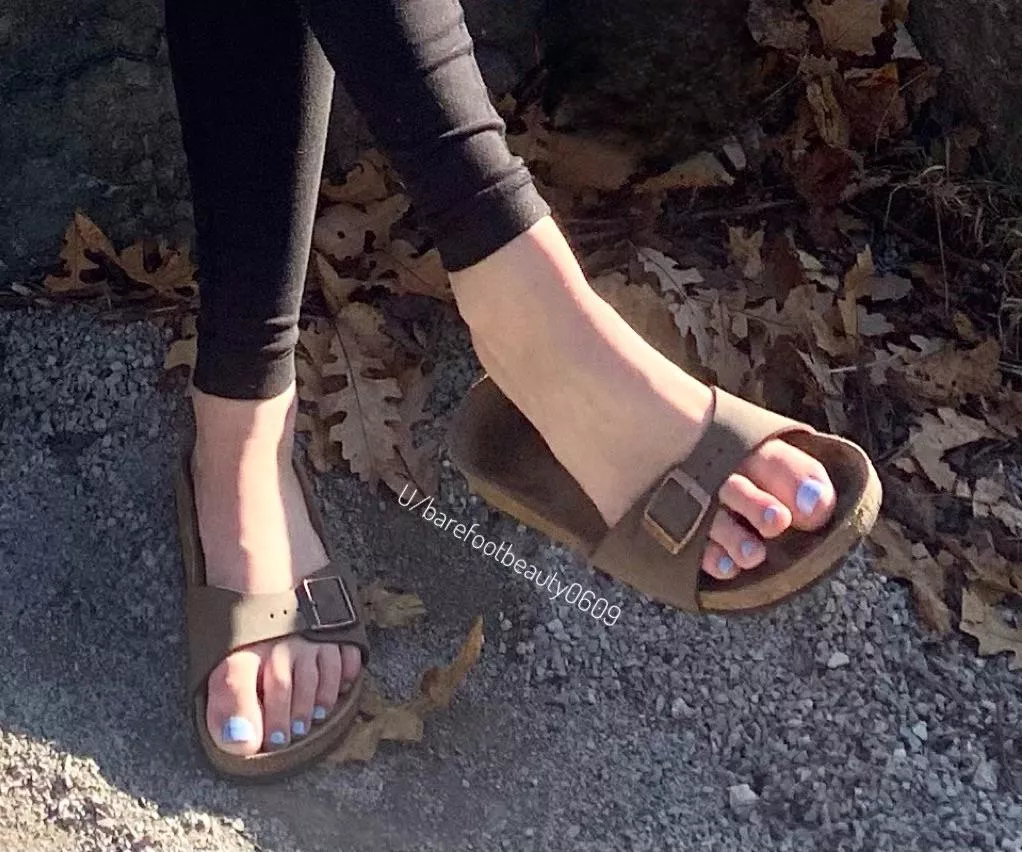 Would you like to suck these toes after a long fall walk!?🦶😝