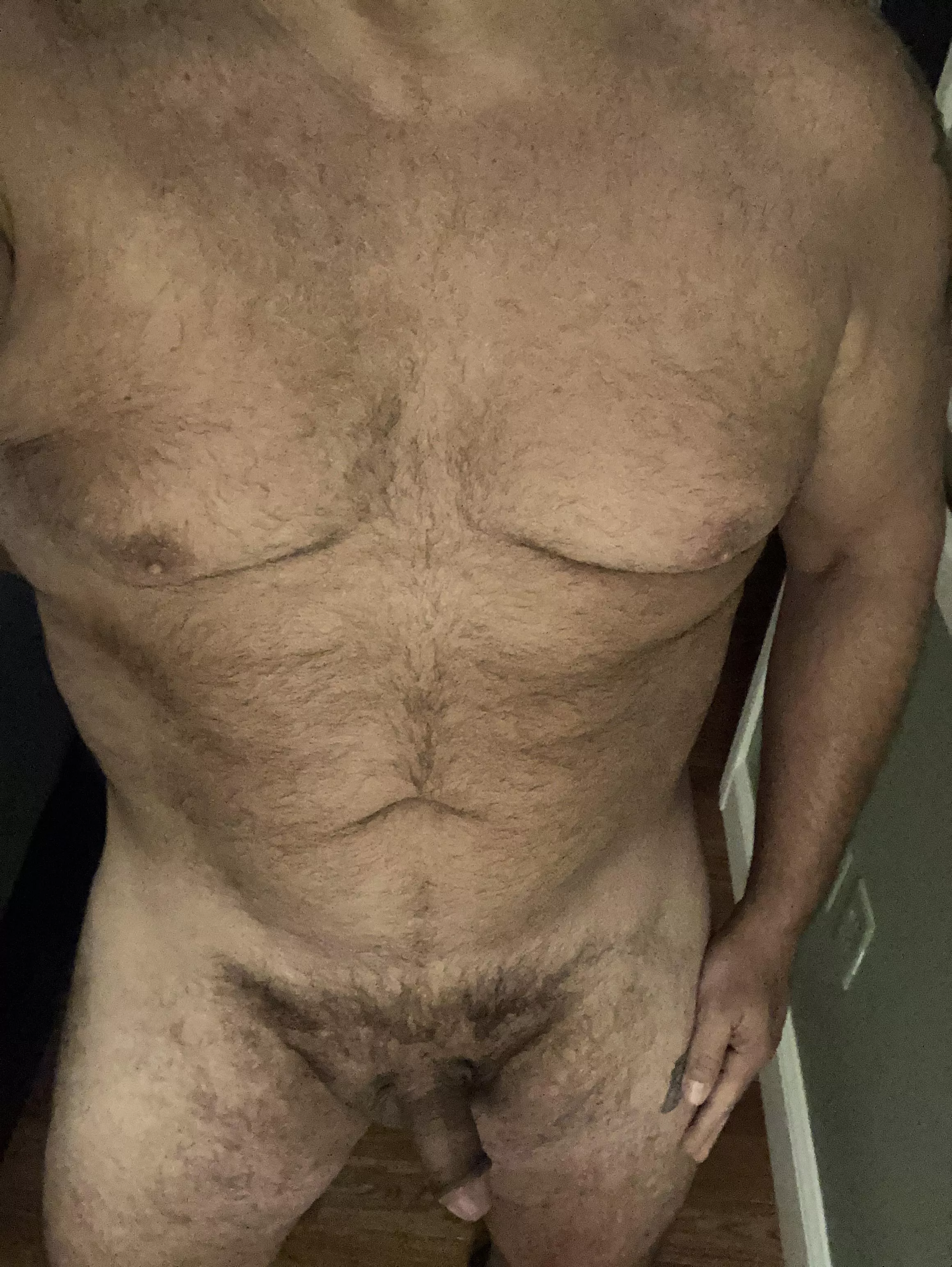 51, bear needs some attention