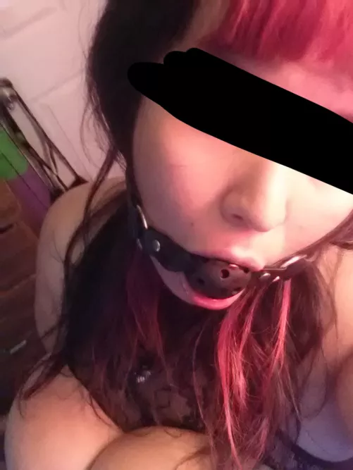 Any love for a BBW not selling anything? Just doing it for the horn x