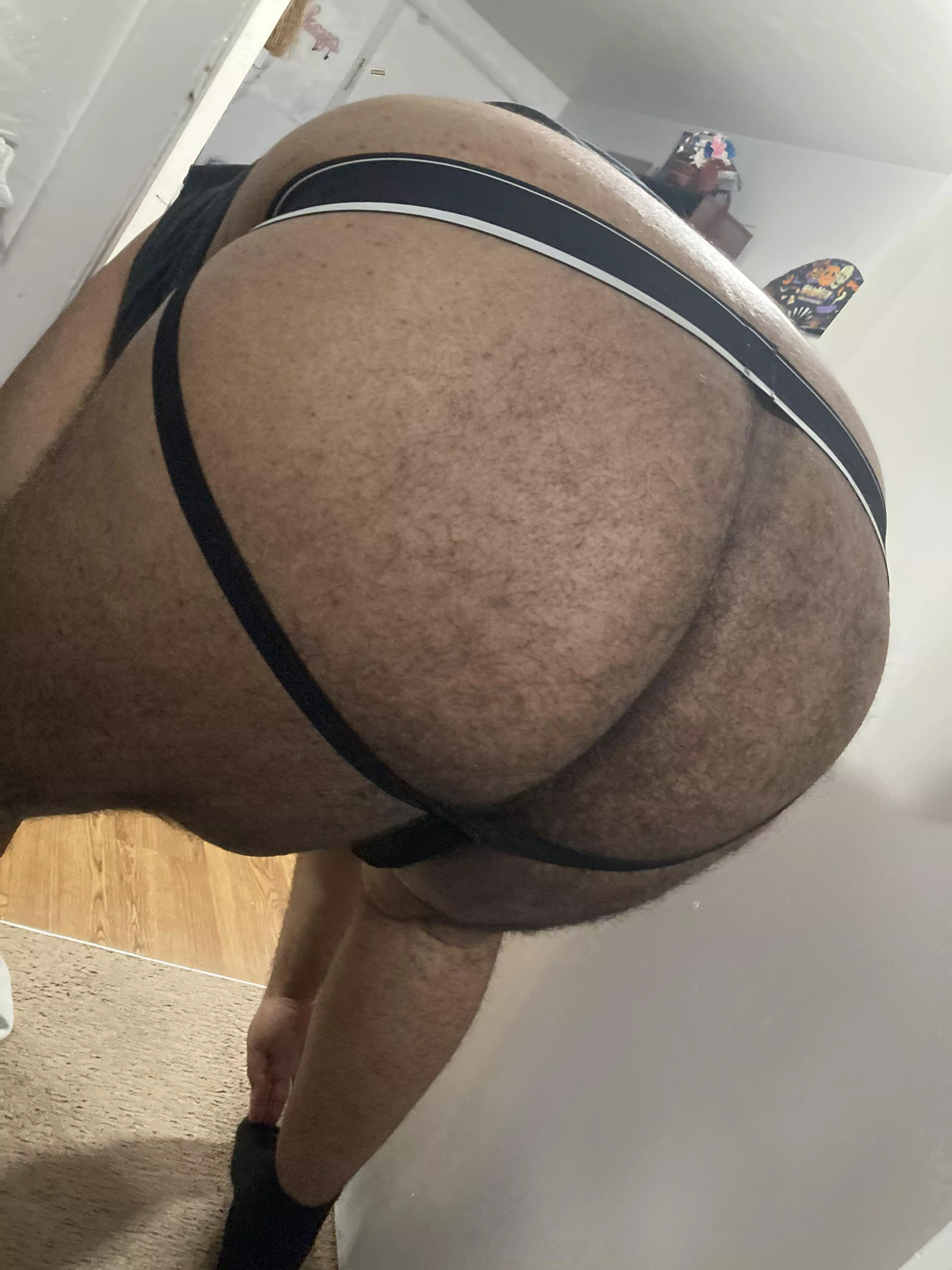 Anybody like big bear ass?