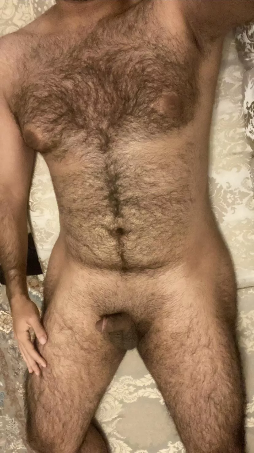 Anyone looking for a cuddle buddy?