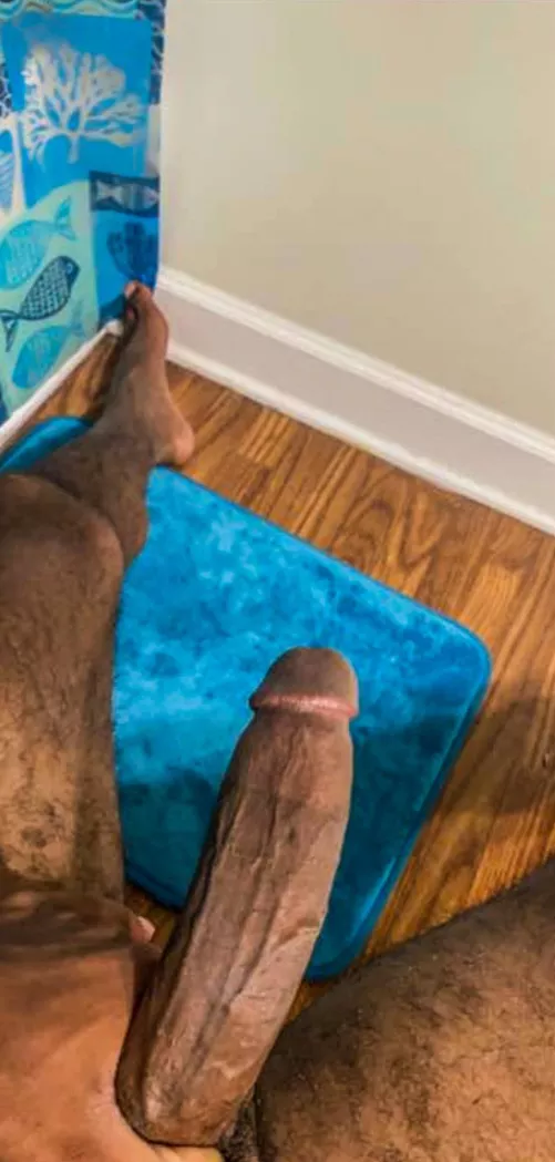 Are you a fan of veiny cocks?