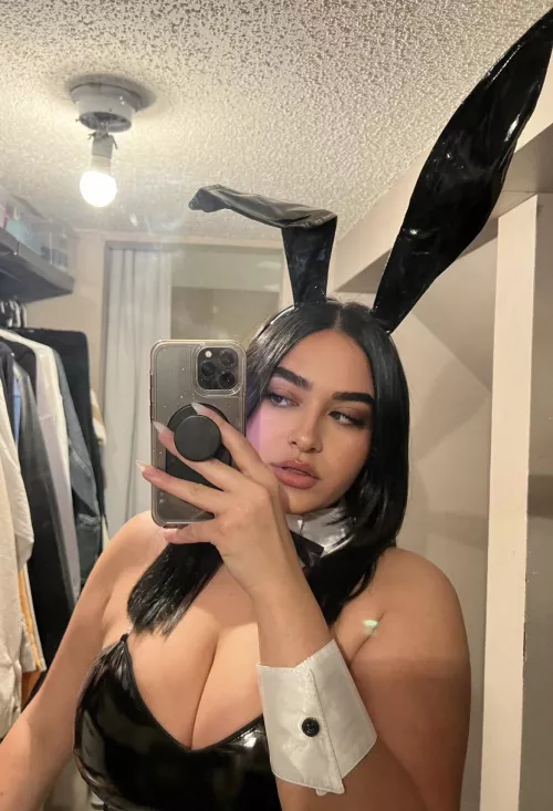 Bunny