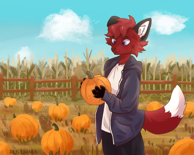 [Comm] Pumpkin Patch [by @spycyshark]