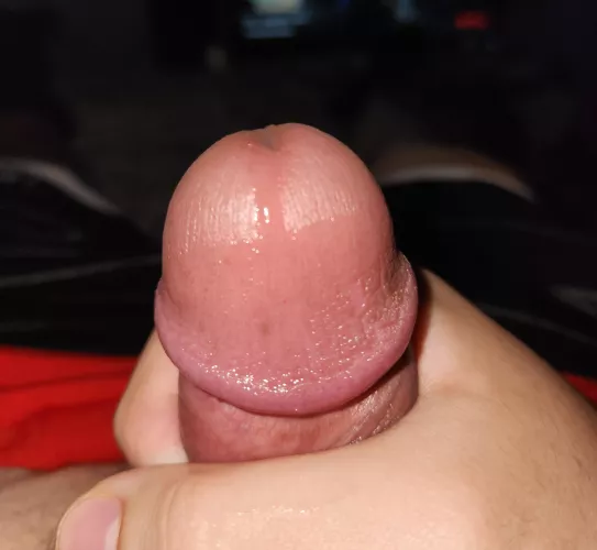 covered in precum